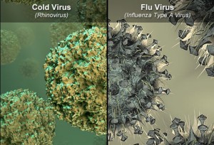 webmd_rm_photo_of_cold_and_flu_virus_composite